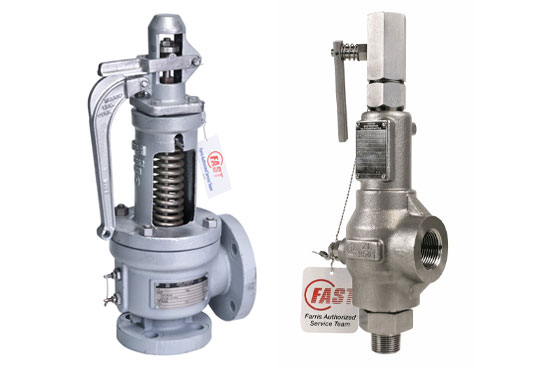 Steam Safety Valves by Farris Engineering